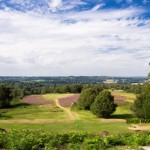 Martlet golfers enjoy success in the sun at Royal Ashdown