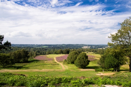 Martlet golfers enjoy success in the sun at Royal Ashdown