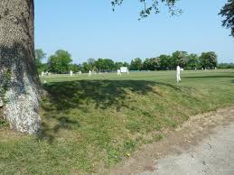 Cricket at Hurst