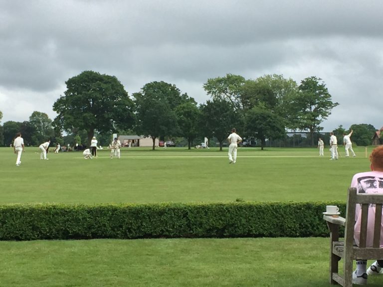 View from the pavilion