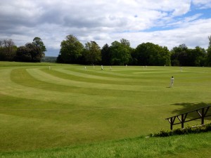 Image of Martlets v MCC at Arundel